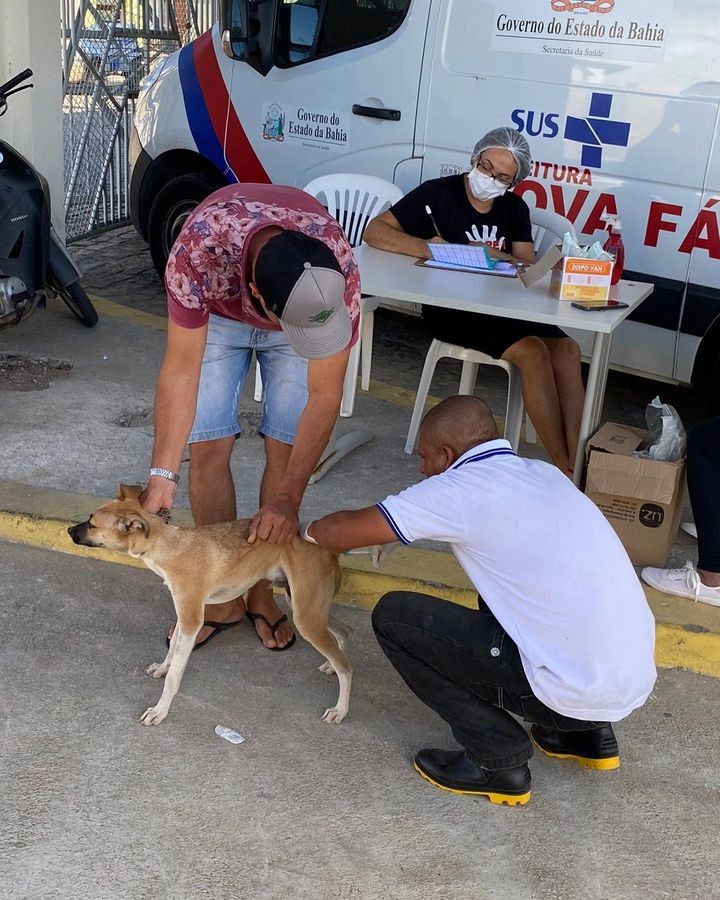 Campanha de Vacinação Antirrábica para cães e gatos na sede e zona rural do município