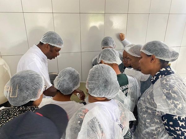 Curso de Queijo Artesanal